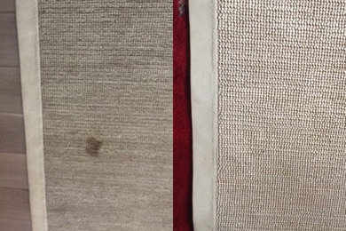 Removing Pet Stain on Leather Rug- B & A