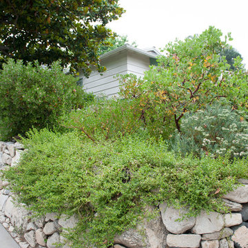 Elevated Garden
