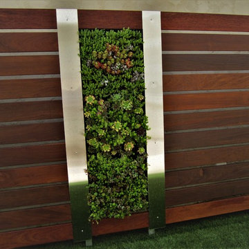 Vertical Garden Designs - La Jolla