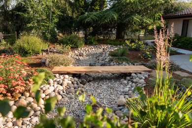 Inspiration for a transitional landscaping in San Luis Obispo.