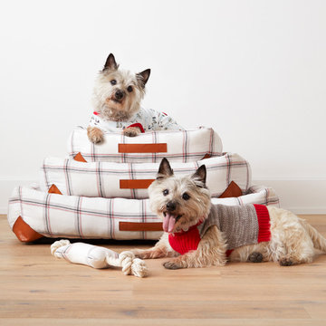 Holiday Pets' Gifting Collection - Hearth & Hand™ with Magnolia