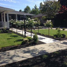 Best Ideas for Front Yard