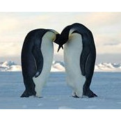 Liz Muhlbaier's photo