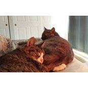 Paula Rieghns's photo