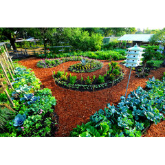 Easy Edible Landscapes-Organic Garden Design