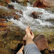 Debra Myers's photo