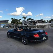 Tommy Birkner's photo