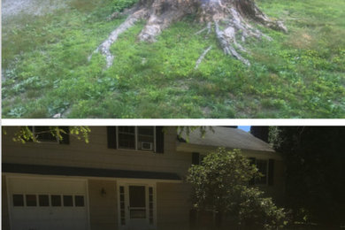 Design ideas for a landscaping in New York.