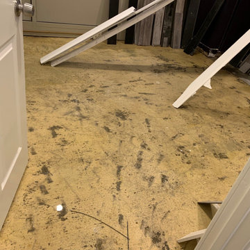 Water Mitigation