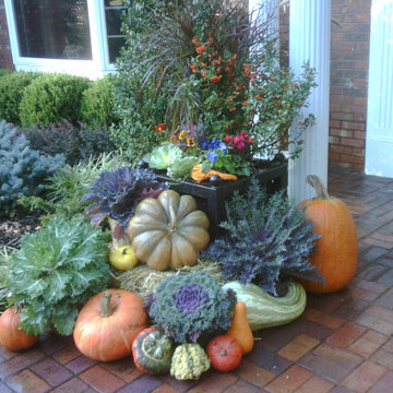 Fall Decor