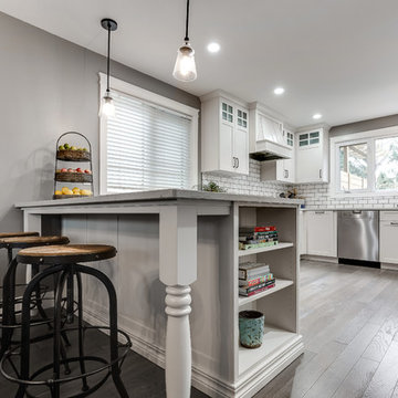 Saskatoon, Renovation - Willow