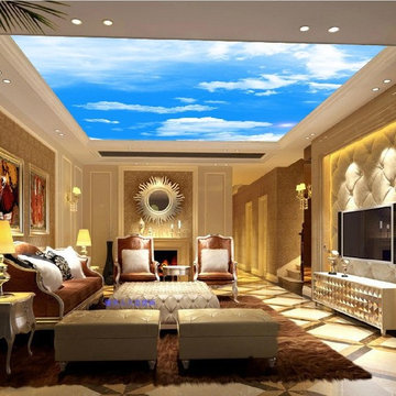 Photo or Stretch Ceilings