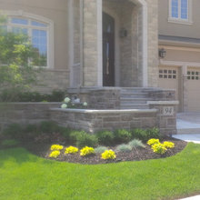 Landscape Ideas