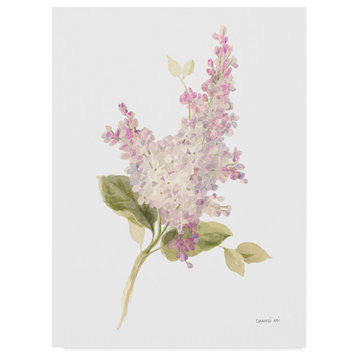 Danhui Nai 'Floursack Florals On White VI' Canvas Art