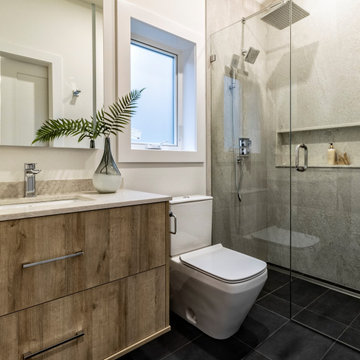 Mt. Pleasant/S. Main Dev Project