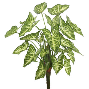 Vickerman 22" Syngonium Bush With 25 Leaves., Green