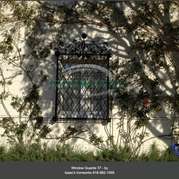 Window Guards