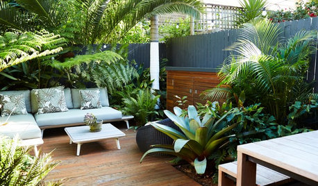 Room of the Week: A Lush, Tropical Garden That Has it All