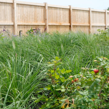 Modern Oceanfront Landscape - Cohasset
