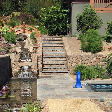 Sebastopol Country Property
