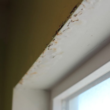 steam damage before