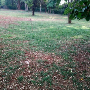 Bush Clearing &Landscaping