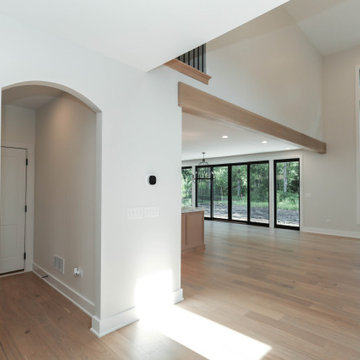 Modern Farmhouse Modified Hampton | Oak Bluff Estates Lemont, IL