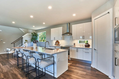 Example of a minimalist kitchen design in Other