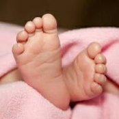 Nour Dibaj's photo