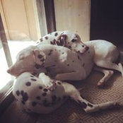 Patrick Minard's photo