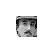 Dmitry Korneev's photo