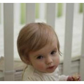 Wes Williams's photo