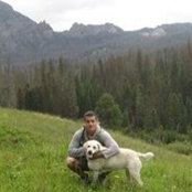 Dave Iacovelli's photo