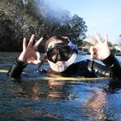 Dawn Carlton's photo