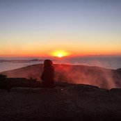 Suz Wilder's photo