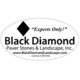 blackdiamondsanramon