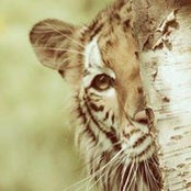 Liaum Dalton's photo