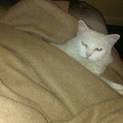 Barbara Baldwin's photo