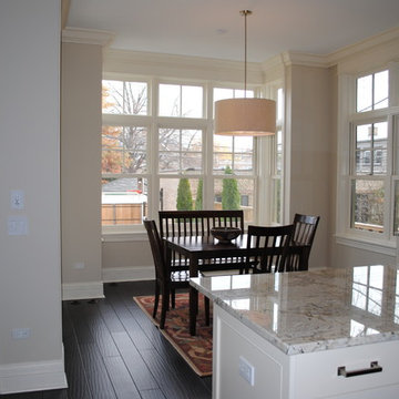 Paulina Private Residence Chicago