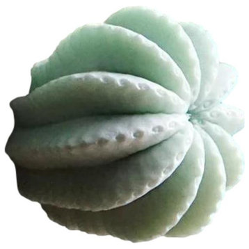 Round Mint Green Succulent Cactus 2 in Wall Hook Organic Shape Outdoor Safe