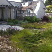 Future dreams: yard