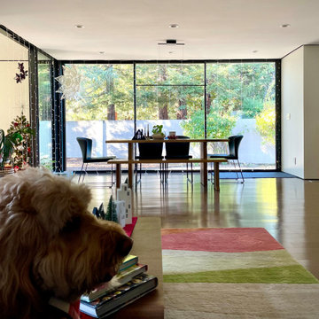 A Modern Swing Suite Addition