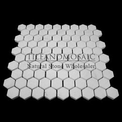 Bianco Dolomiti Marble Italian White Dolomite 1" Hexagon Mosaic Tile Polished - Products