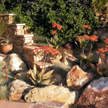 Xeriscape Drought Resistant Landscaping