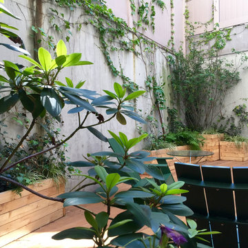 Carroll Gardens Duplex Landscapes