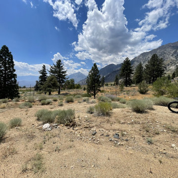 The Real Mountain View