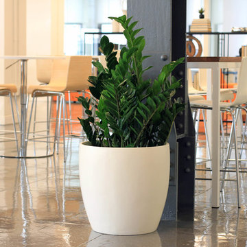 Root and Stock | Napa Round Cylinder Planter - White