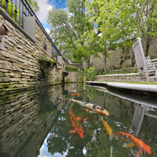 Koi pond