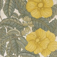 Rugs I like