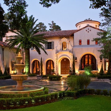 Flying Palms